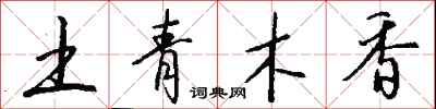 土青木香怎么寫好看