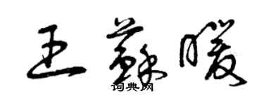 曾慶福王蘇暖草書個性簽名怎么寫