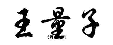 胡問遂王量子行書個性簽名怎么寫