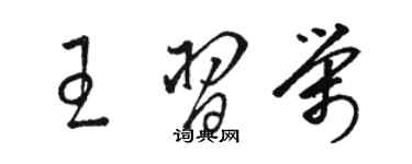 駱恆光王習榮草書個性簽名怎么寫