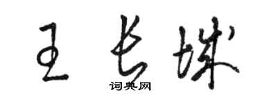 駱恆光王長城草書個性簽名怎么寫