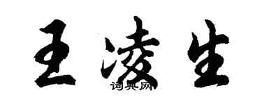 胡問遂王凌生行書個性簽名怎么寫