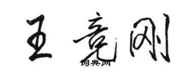 駱恆光王競剛行書個性簽名怎么寫