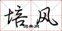 荊霄鵬培風行書怎么寫