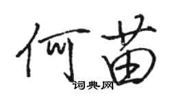 駱恆光何苗行書個性簽名怎么寫