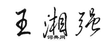 駱恆光王湘強行書個性簽名怎么寫