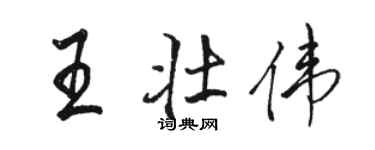 駱恆光王壯偉行書個性簽名怎么寫