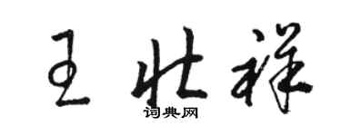 駱恆光王壯祥草書個性簽名怎么寫
