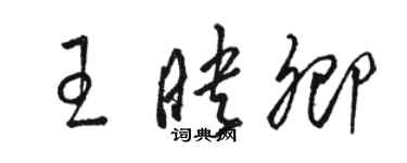 駱恆光王映卿草書個性簽名怎么寫