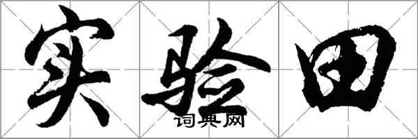 胡問遂實驗田行書怎么寫