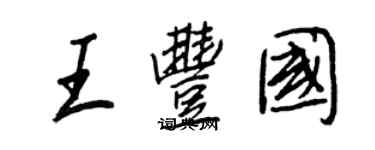 王正良王豐國行書個性簽名怎么寫