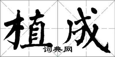 翁闓運植成楷書怎么寫