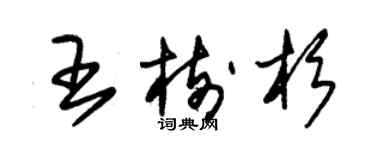 朱錫榮王樹杉草書個性簽名怎么寫