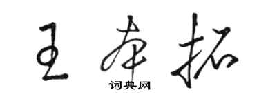 駱恆光王本拓草書個性簽名怎么寫