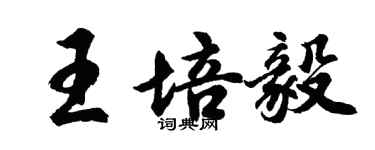 胡問遂王培毅行書個性簽名怎么寫