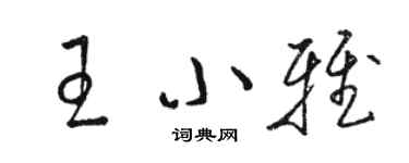 駱恆光王小雅草書個性簽名怎么寫