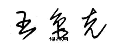 朱錫榮王魯克草書個性簽名怎么寫