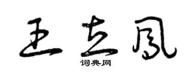 曾慶福王立鳳草書個性簽名怎么寫