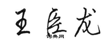 駱恆光王臣龍行書個性簽名怎么寫