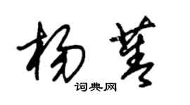 朱錫榮楊菁草書個性簽名怎么寫