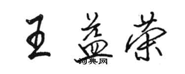 駱恆光王益榮行書個性簽名怎么寫