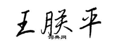 王正良王朕平行書個性簽名怎么寫