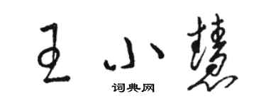 駱恆光王小慧草書個性簽名怎么寫