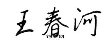 王正良王春河行書個性簽名怎么寫
