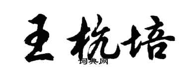 胡問遂王杭培行書個性簽名怎么寫