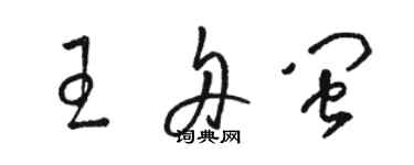 駱恆光王舟閩草書個性簽名怎么寫