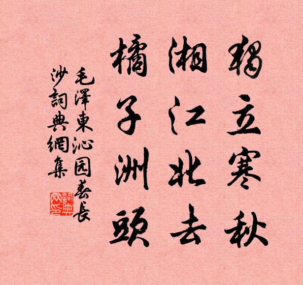 毛*澤*東獨立寒秋,湘江北去,橘子洲頭。書法作品欣賞
