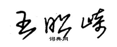 朱錫榮王昭崎草書個性簽名怎么寫