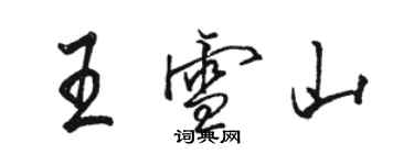 駱恆光王雪山行書個性簽名怎么寫