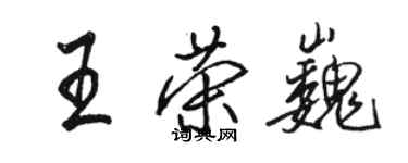 駱恆光王榮巍行書個性簽名怎么寫