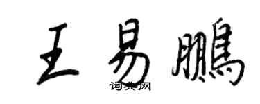 王正良王易鵬行書個性簽名怎么寫