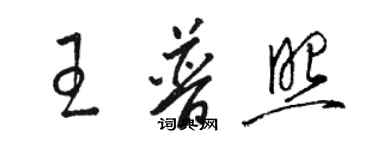 駱恆光王普照草書個性簽名怎么寫