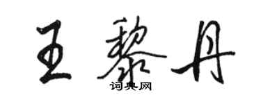 駱恆光王黎丹行書個性簽名怎么寫
