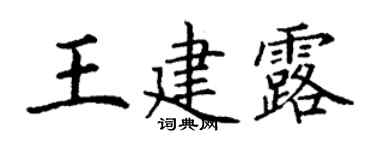丁謙王建露楷書個性簽名怎么寫