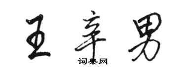 駱恆光王辛男行書個性簽名怎么寫