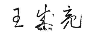 駱恆光王成亮草書個性簽名怎么寫