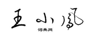 梁錦英王小鳳草書個性簽名怎么寫