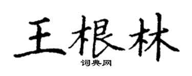 丁謙王根林楷書個性簽名怎么寫