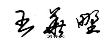 朱錫榮王華野草書個性簽名怎么寫
