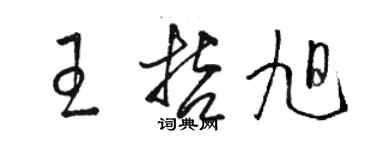 駱恆光王哲旭草書個性簽名怎么寫