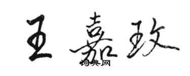 駱恆光王嘉玫行書個性簽名怎么寫