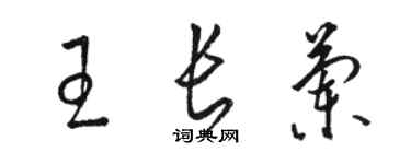 駱恆光王長蘭草書個性簽名怎么寫