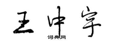 曾慶福王中宇行書個性簽名怎么寫