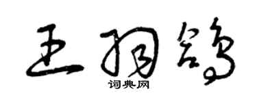 曾慶福王羽鴿草書個性簽名怎么寫