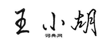 駱恆光王小胡行書個性簽名怎么寫