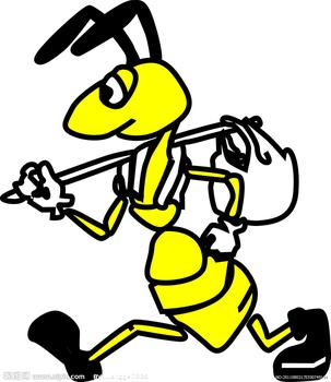 關於螞蟻的作文 螞蟻作文專題